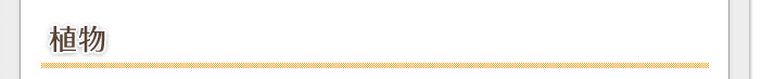 植物