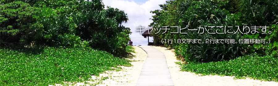キャッチコピーが入ります
